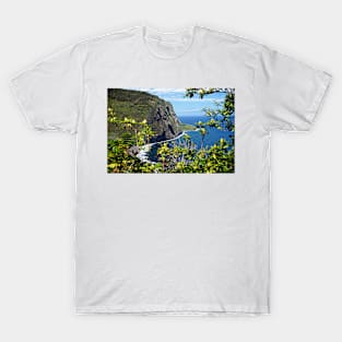 Waipio_0013 T-Shirt